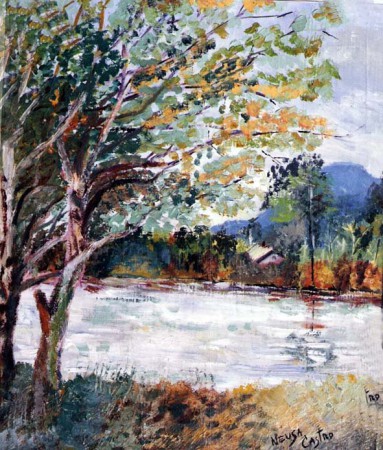  beira de rio-40x50/